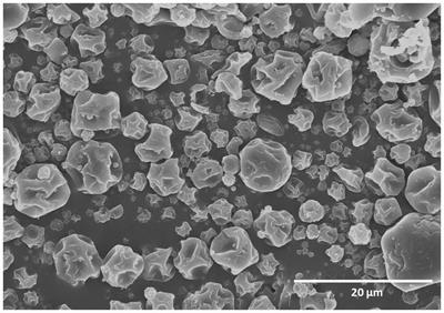 Development of a new broad-spectrum microencapsulation-based spray drying formulation of Bacillus thuringiensis subsp. kurstaki IMBL-B9 for the control of moths